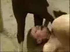 Amazing fresh recent teenage hussy getting drilled by a horse in ...