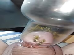 Pain cbt insertion bdsm pervers wasp