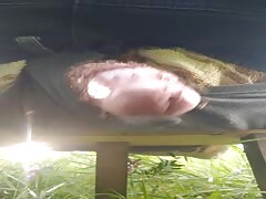 Pain cbt insertion bdsm pervers mosquitos
